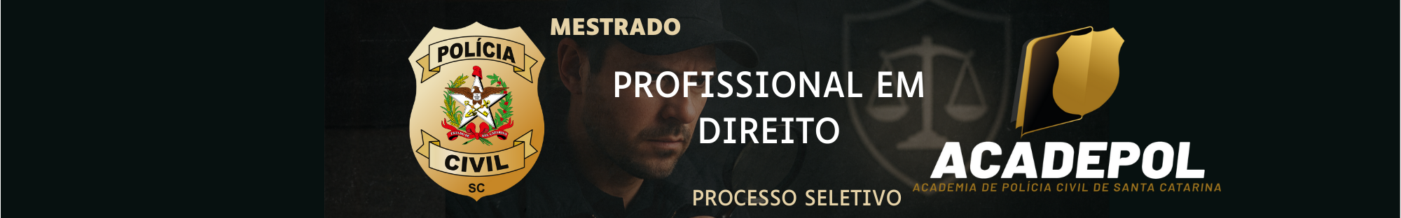 capas site - MESTRADO